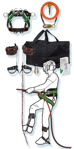 Top-Rated Arborist Complete Tree Climbing Gear